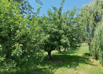 Top des maisons de vacances et chambres d'hôtes