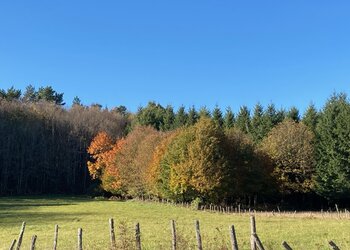 Top des maisons de vacances et chambres d'hôtes