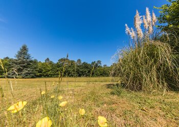 Top des maisons de vacances et chambres d'hôtes