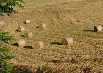 Top des maisons de vacances et chambres d'hôtes