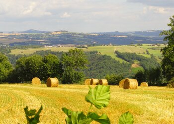 Top des maisons de vacances et chambres d'hôtes