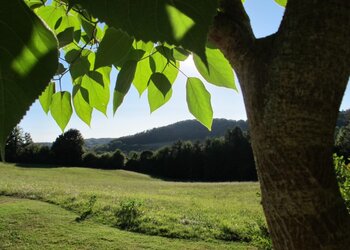 Top des maisons de vacances et chambres d'hôtes