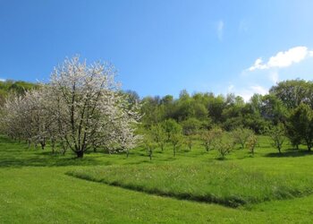 Top des maisons de vacances et chambres d'hôtes