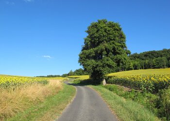 Top des maisons de vacances et chambres d'hôtes