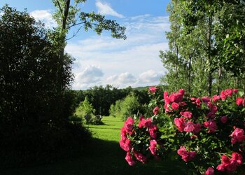 Top des maisons de vacances et chambres d'hôtes