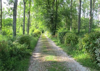 Top des maisons de vacances et chambres d'hôtes