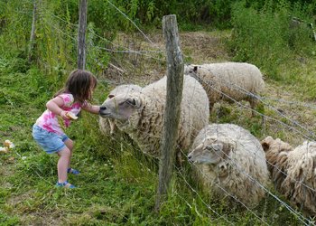 Top des maisons de vacances et chambres d'hôtes