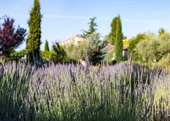 Top des maisons de vacances et chambres d'hôtes