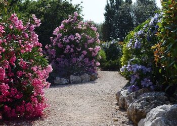 Top des maisons de vacances et chambres d'hôtes