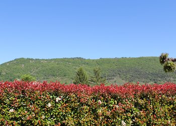 Top des maisons de vacances et chambres d'hôtes