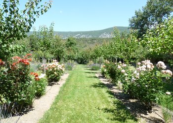 Top des maisons de vacances et chambres d'hôtes