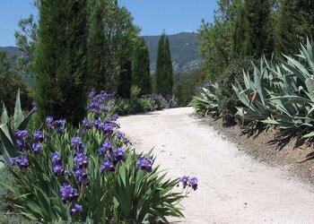 Top des maisons de vacances et chambres d'hôtes