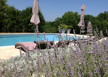 Top Vakantiehuizen | Bed and Breakfasts