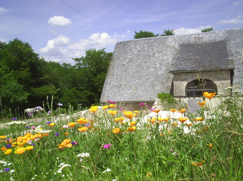 Top des maisons de vacances et chambres d'hôtes