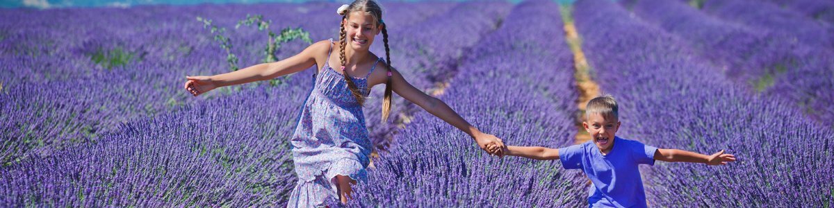 Top Holiday Homes and Bed and Breakfasts