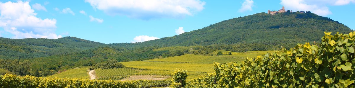 Top Vakantiehuizen | Bed and Breakfasts