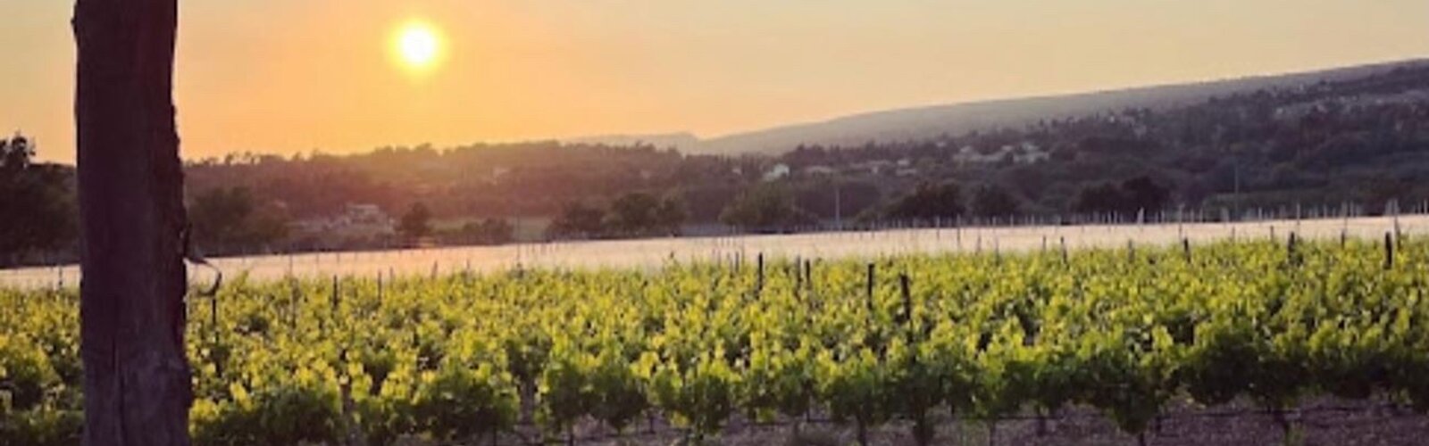 Top Vakantiehuizen | Bed and Breakfasts