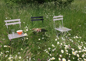 Top Holiday Homes and Bed and Breakfasts