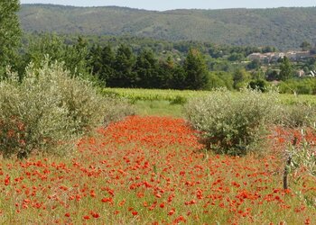 Top Holiday Homes and Bed and Breakfasts