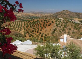 Top Holiday Homes and Bed and Breakfasts