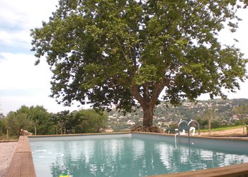 Top Holiday Homes and Bed and Breakfasts