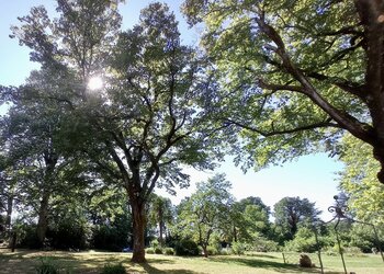 Top des maisons de vacances et chambres d'hôtes