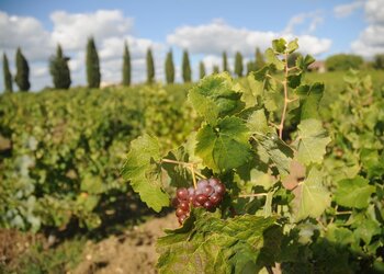 Top des maisons de vacances et chambres d'hôtes