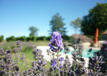 Top des maisons de vacances et chambres d'hôtes