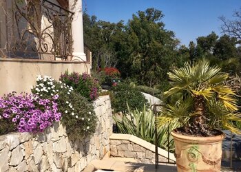 Top Vakantiehuizen | Bed and Breakfasts