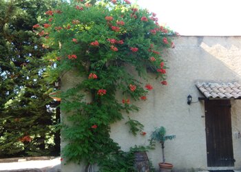Top Vakantiehuizen | Bed and Breakfasts