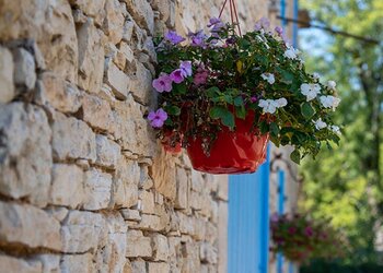 Top Vakantiehuizen | Bed and Breakfasts