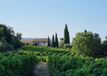 Top Vakantiehuizen | Bed and Breakfasts