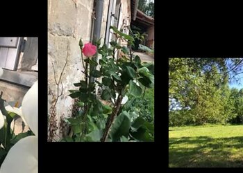 Top Vakantiehuizen | Bed and Breakfasts