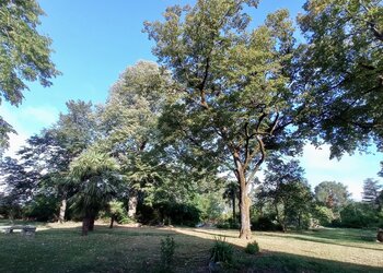Top Vakantiehuizen | Bed and Breakfasts