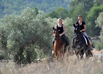 Top Vakantiehuizen | Bed and Breakfasts