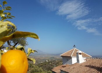 Top Vakantiehuizen | Bed and Breakfasts