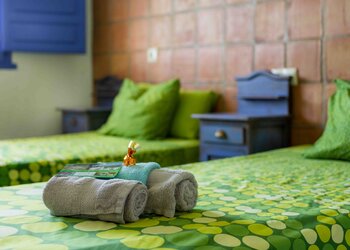 Top Vakantiehuizen | Bed and Breakfasts