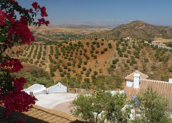 Top Vakantiehuizen | Bed and Breakfasts