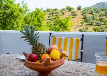 Top Vakantiehuizen | Bed and Breakfasts