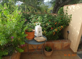 Top Vakantiehuizen | Bed and Breakfasts