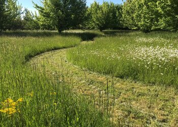 Top Vakantiehuizen | Bed and Breakfasts