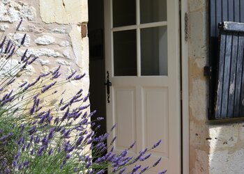 Top Vakantiehuizen | Bed and Breakfasts