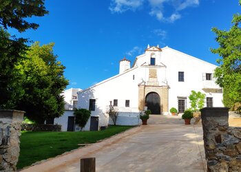 Top Vakantiehuizen | Bed and Breakfasts
