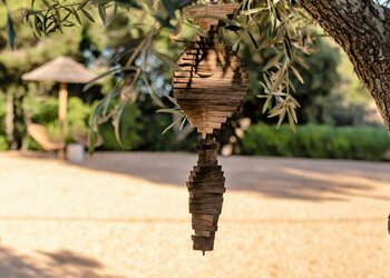 Top Vakantiehuizen | Bed and Breakfasts