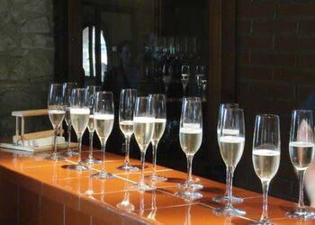 Top Vakantiehuizen | Bed and Breakfasts