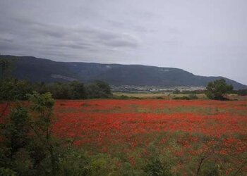 Top Vakantiehuizen | Bed and Breakfasts