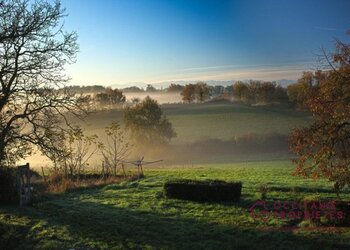 Top Vakantiehuizen | Bed and Breakfasts