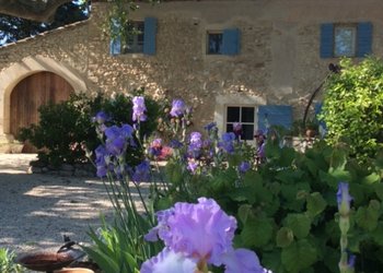 Top Vakantiehuizen | Bed and Breakfasts