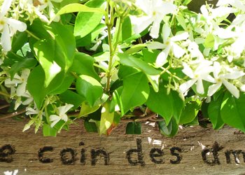 Top Vakantiehuizen | Bed and Breakfasts