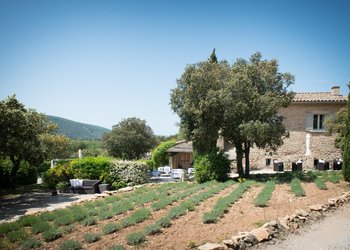 Top Vakantiehuizen | Bed and Breakfasts